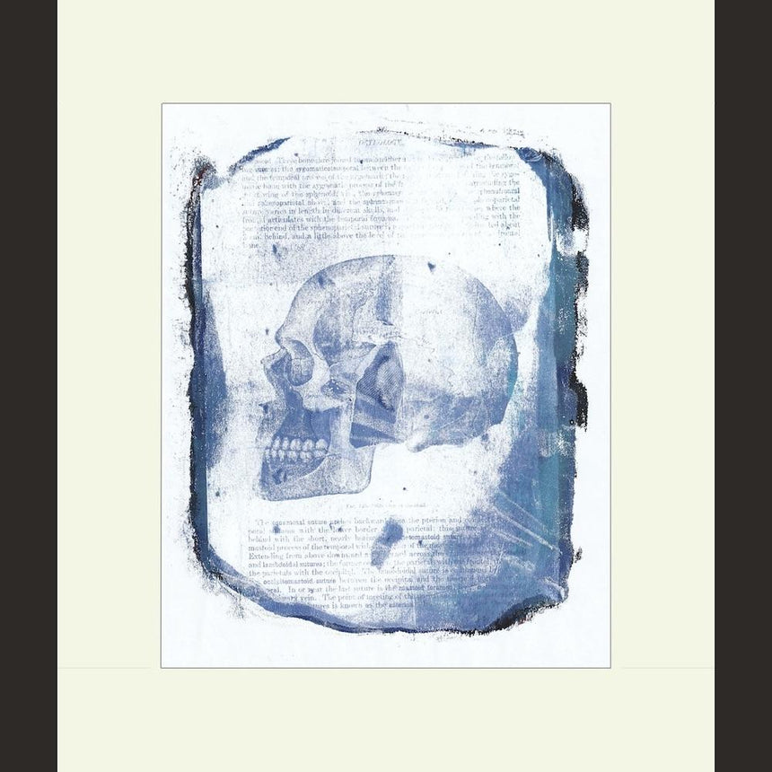 Blue Skull handmade print