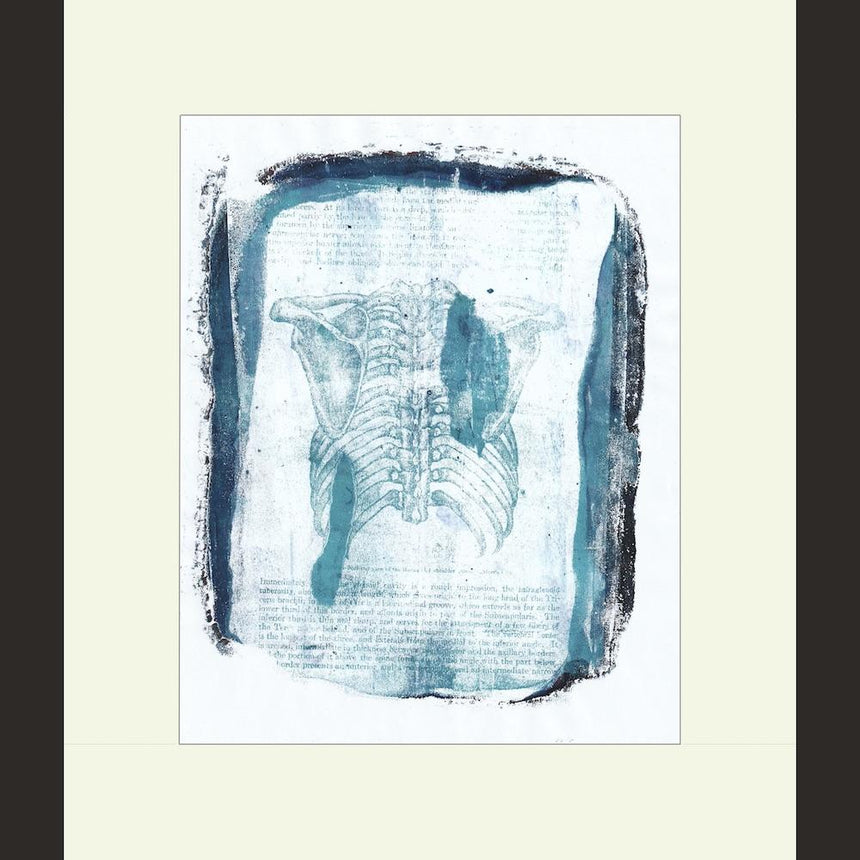 blue anatomical ribcage handmade print